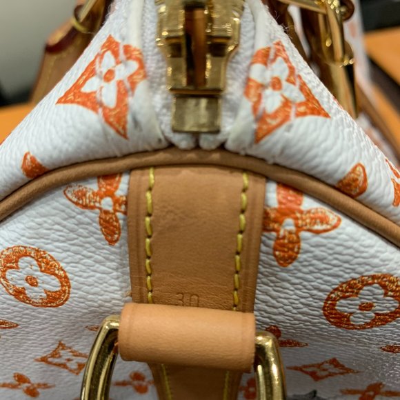 ❌EXCLUSIVE Louis Vuitton Catogram Speedy White Bag - Picture 7 of 14